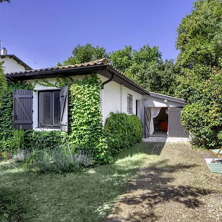 Renovee Au Pyla-sur-mer Avec Grand Jardin - Fr-1-433-146 La Teste-de-Buch